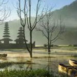 Tamblingan Lake Tamblingan Lake